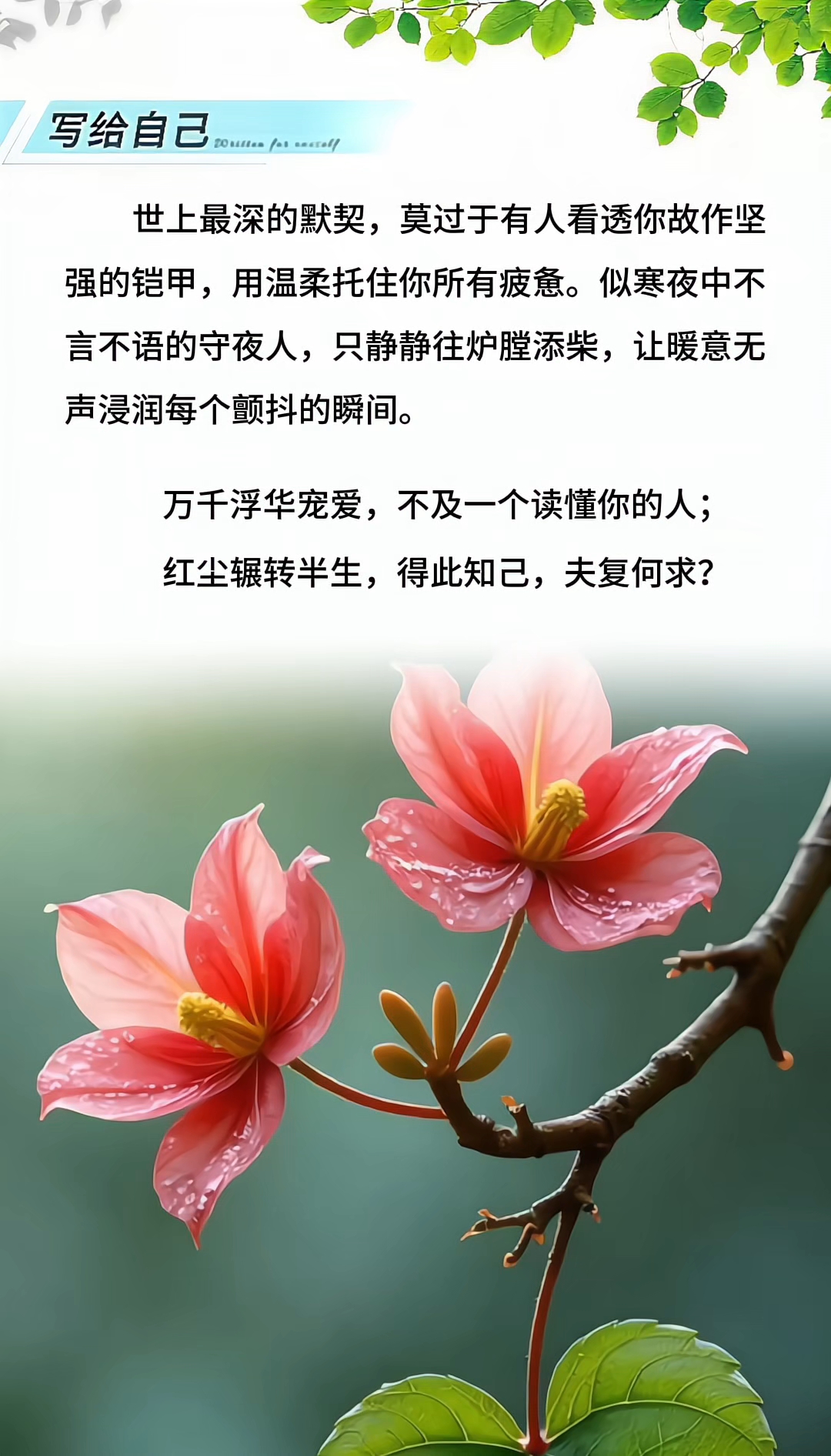 详细阅读:沉默的人(沉默的人给人什么感觉) 沉默的人(沉默的人给人什么感觉)